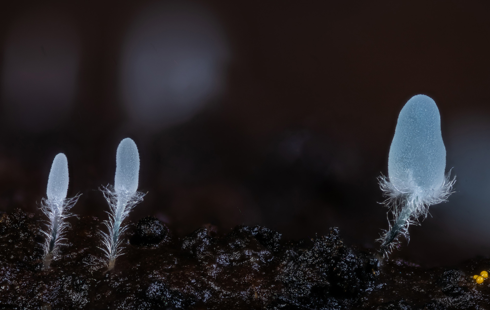 2025 Science Exposed finalists | Natural Sciences and Engineering